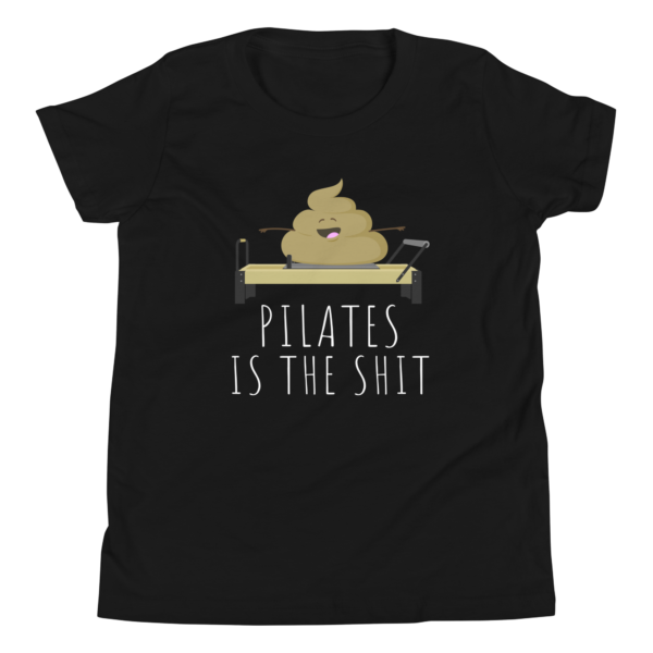 Pilates is the Shit. - Image 2