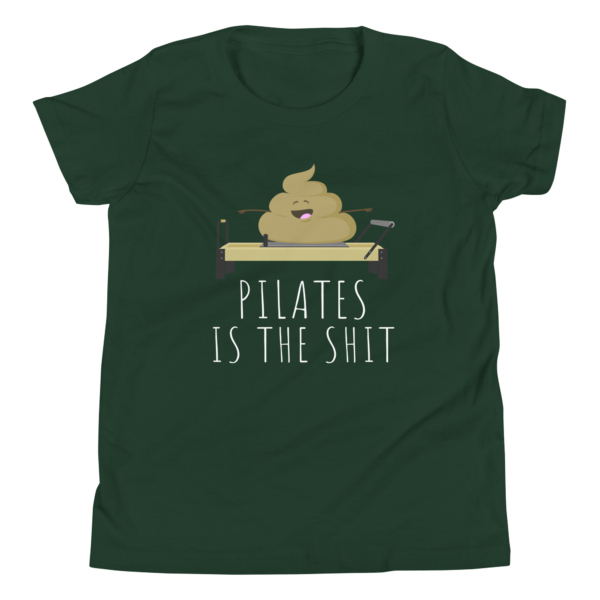 Pilates is the Shit. - Image 3