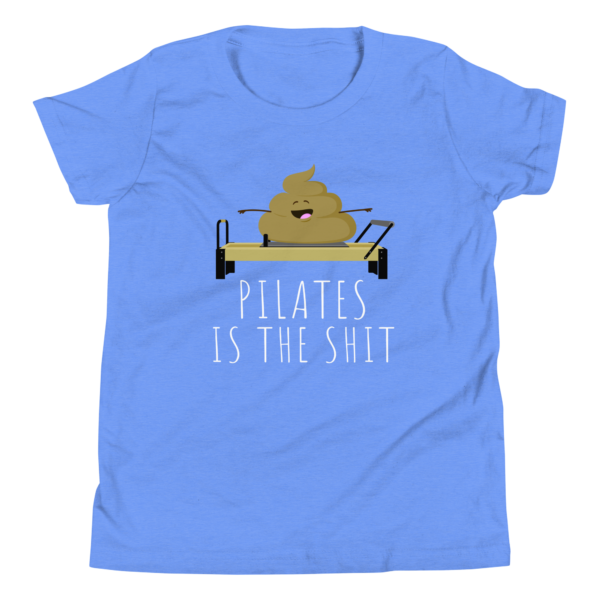 Pilates is the Shit. - Image 4