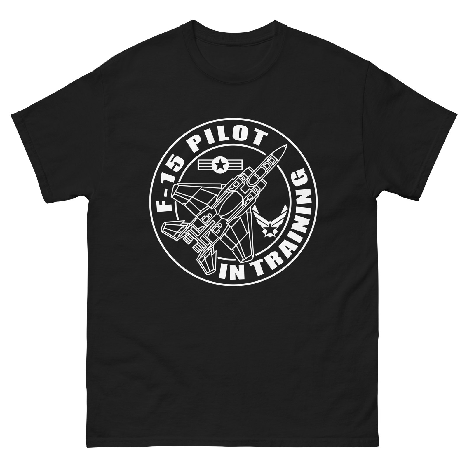 F-15 fighter aircraft. Pilot Training. - Image 2