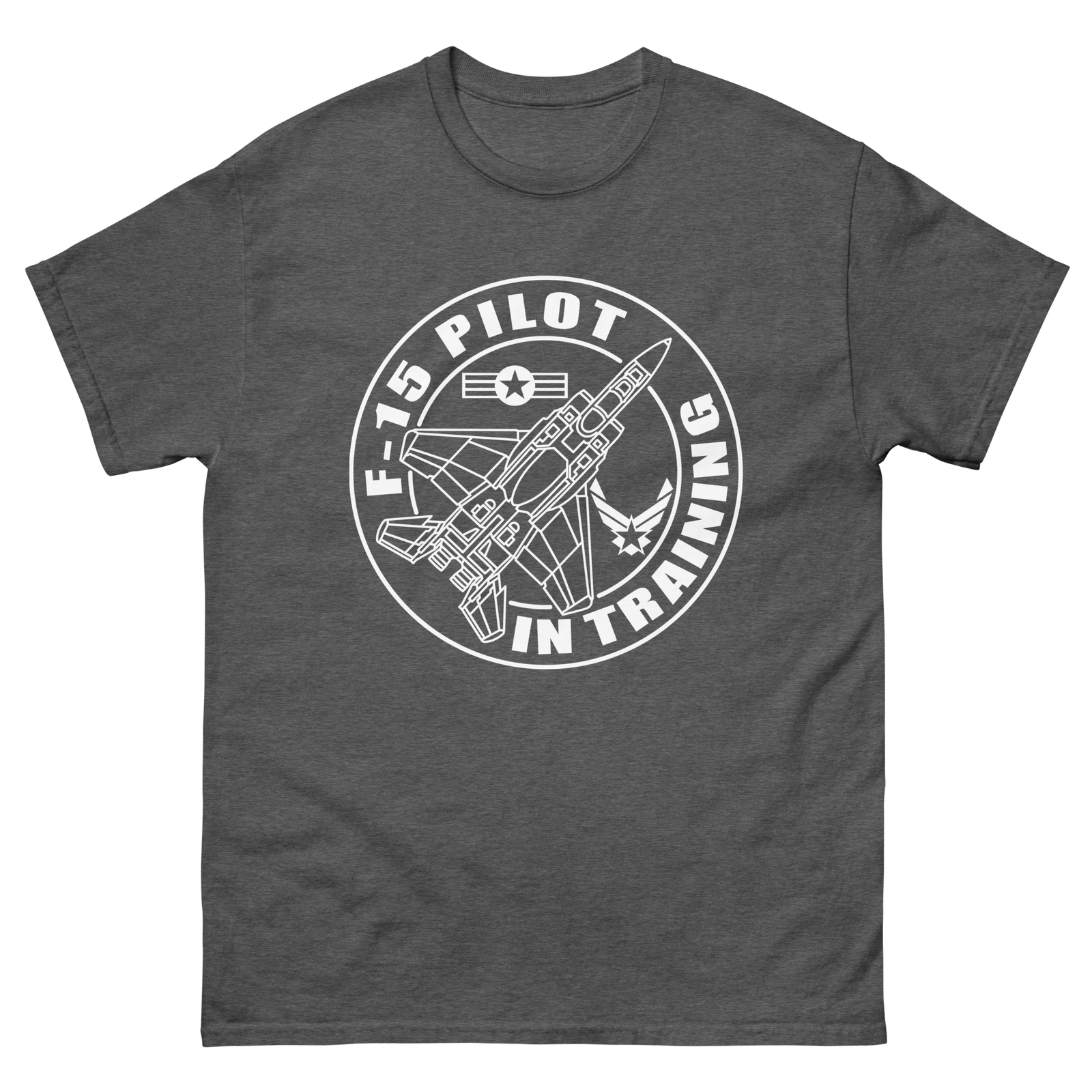 F-15 fighter aircraft. Pilot Training.