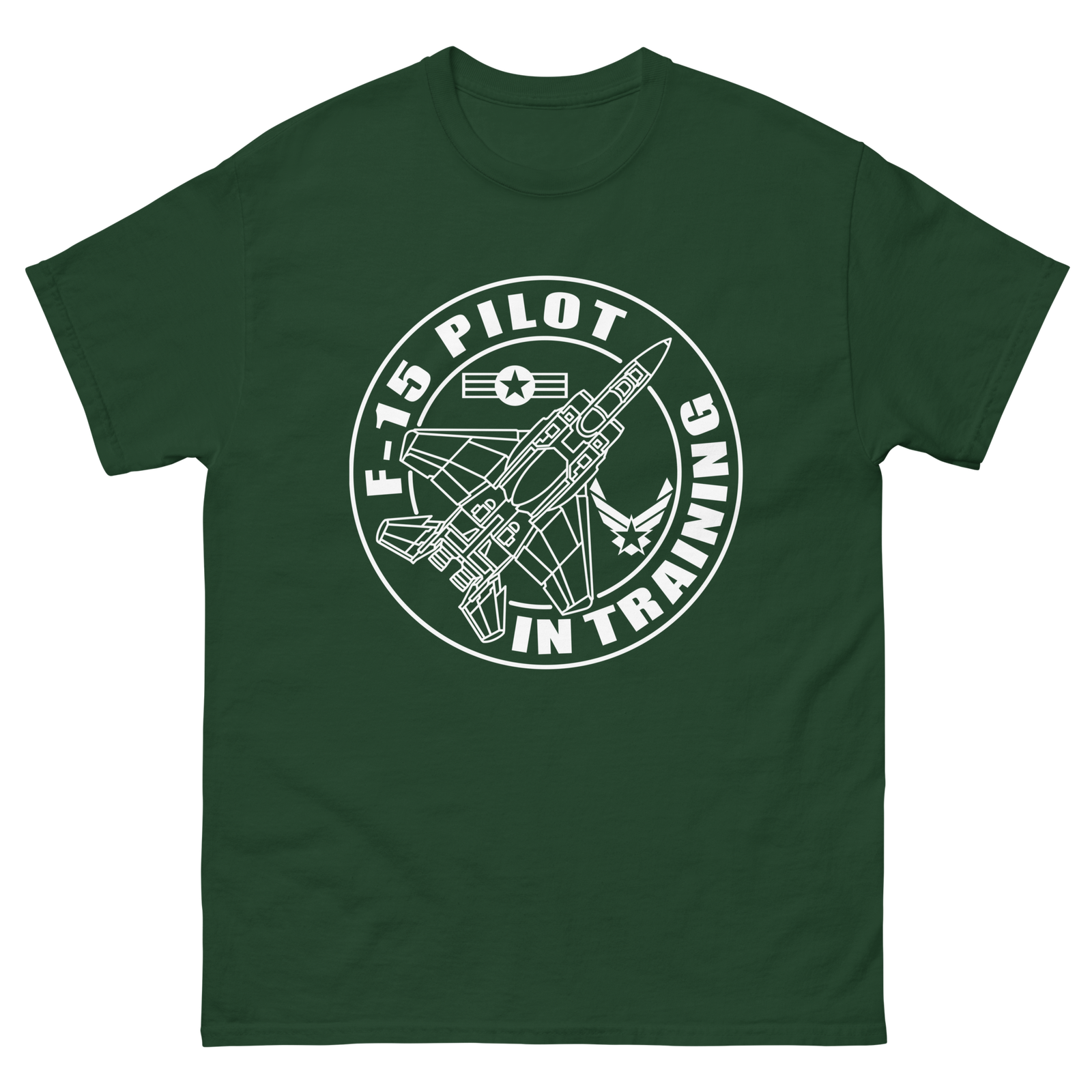 F-15 fighter aircraft. Pilot Training. - Image 3