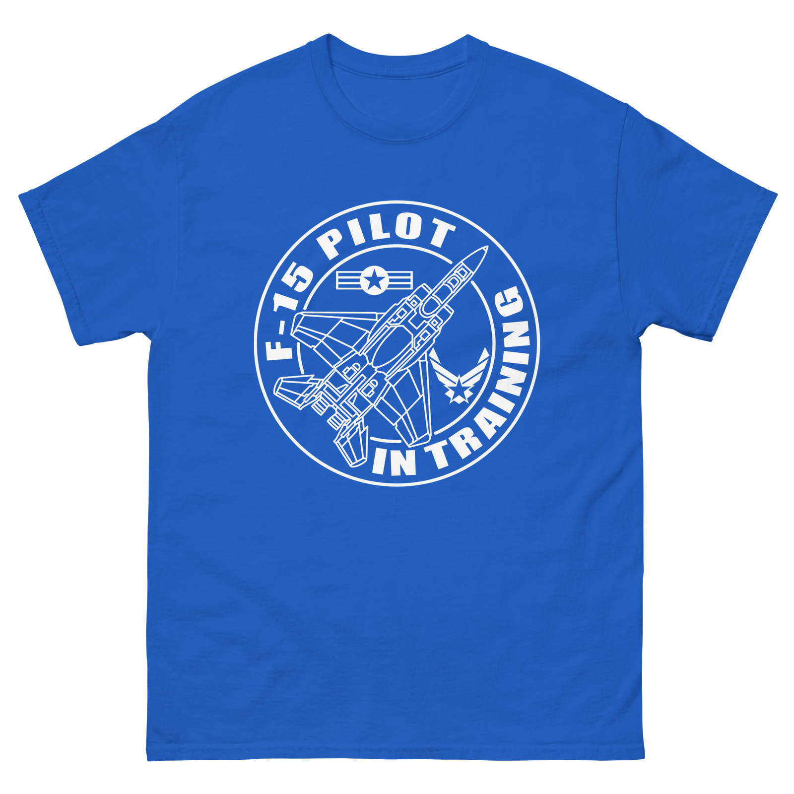 F-15 fighter aircraft. Pilot Training. - Image 4