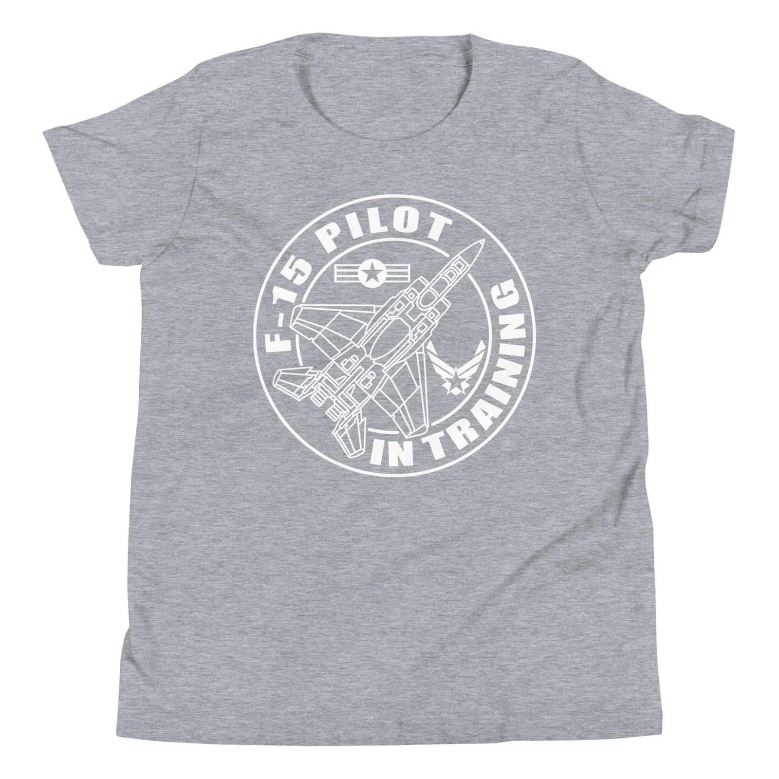 F-15 fighter aircraft. Pilot Training. - Image 6