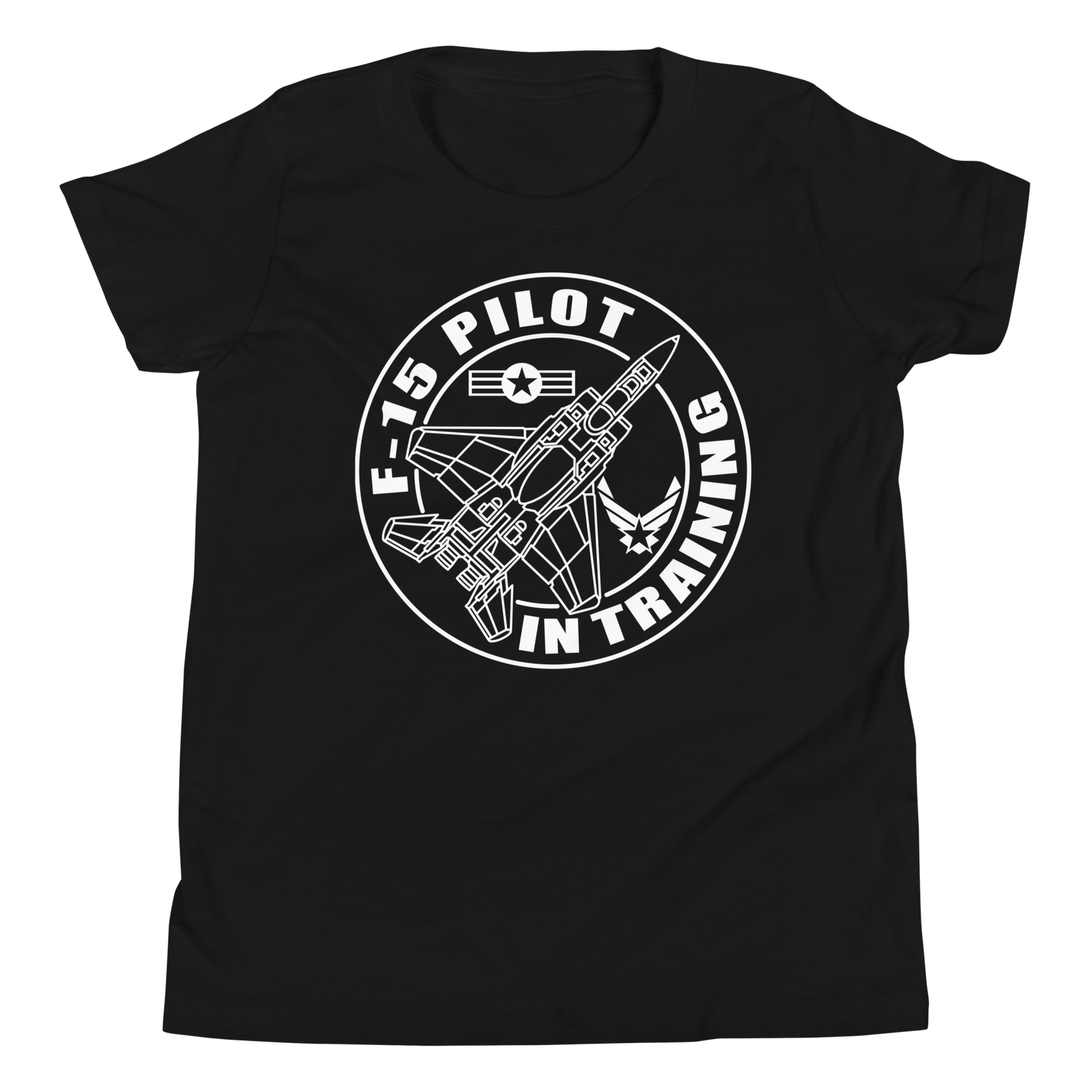 F-15 fighter aircraft. Pilot Training. - Image 2