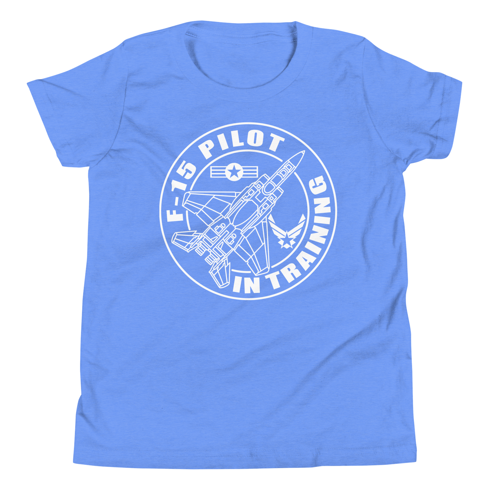 F-15 fighter aircraft. Pilot Training. - Image 5