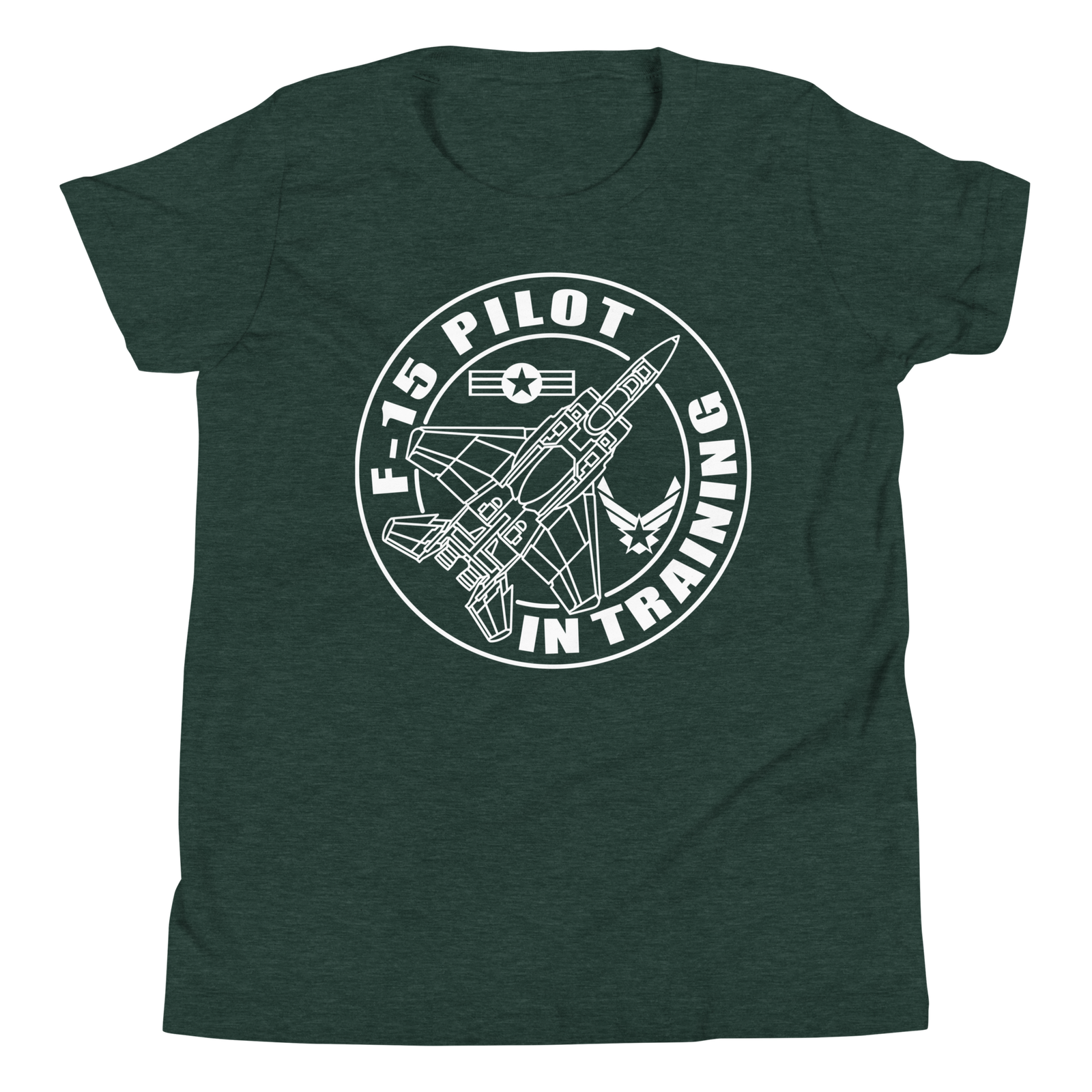 F-15 fighter aircraft. Pilot Training. - Image 4