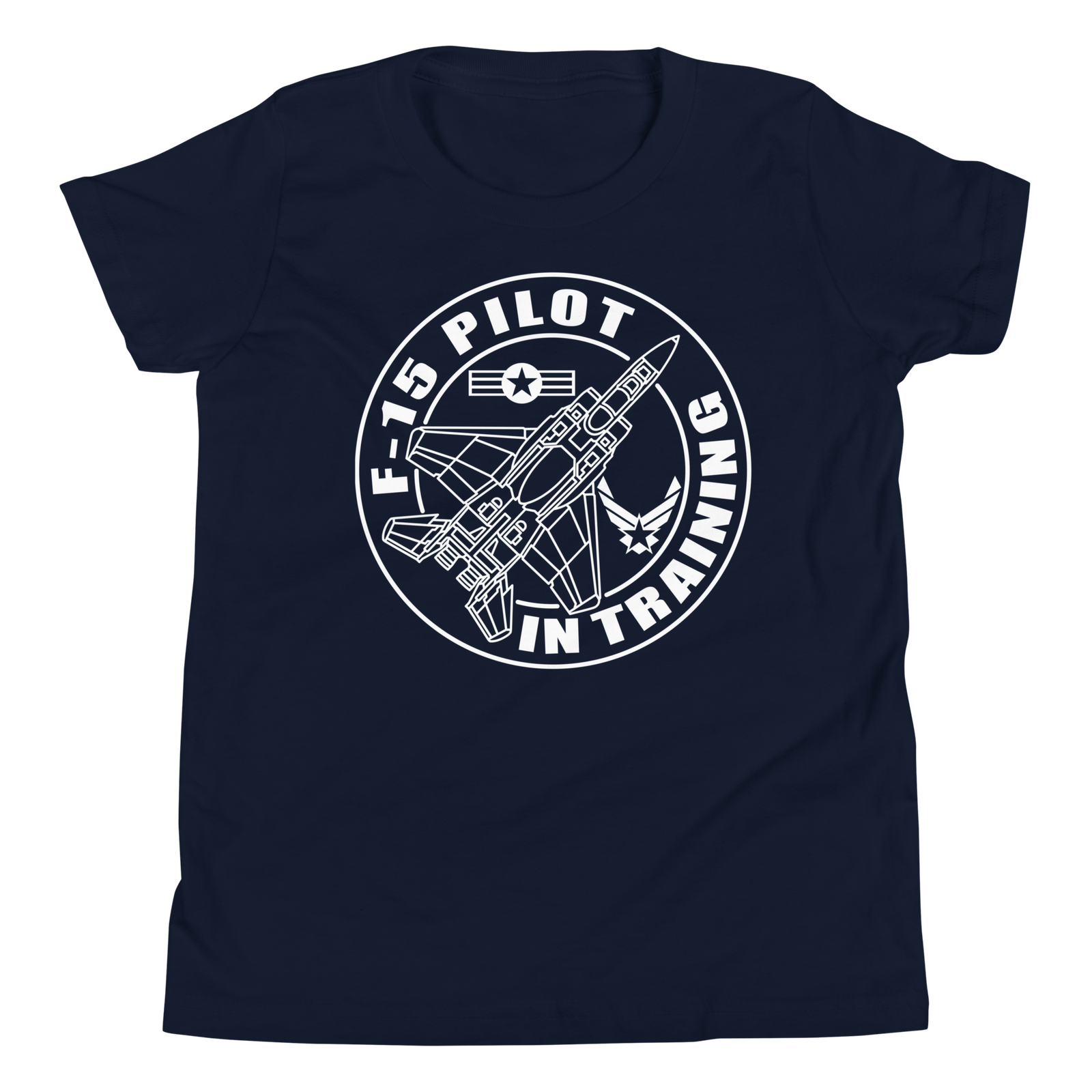 F-15 fighter aircraft. Pilot Training. - Image 3