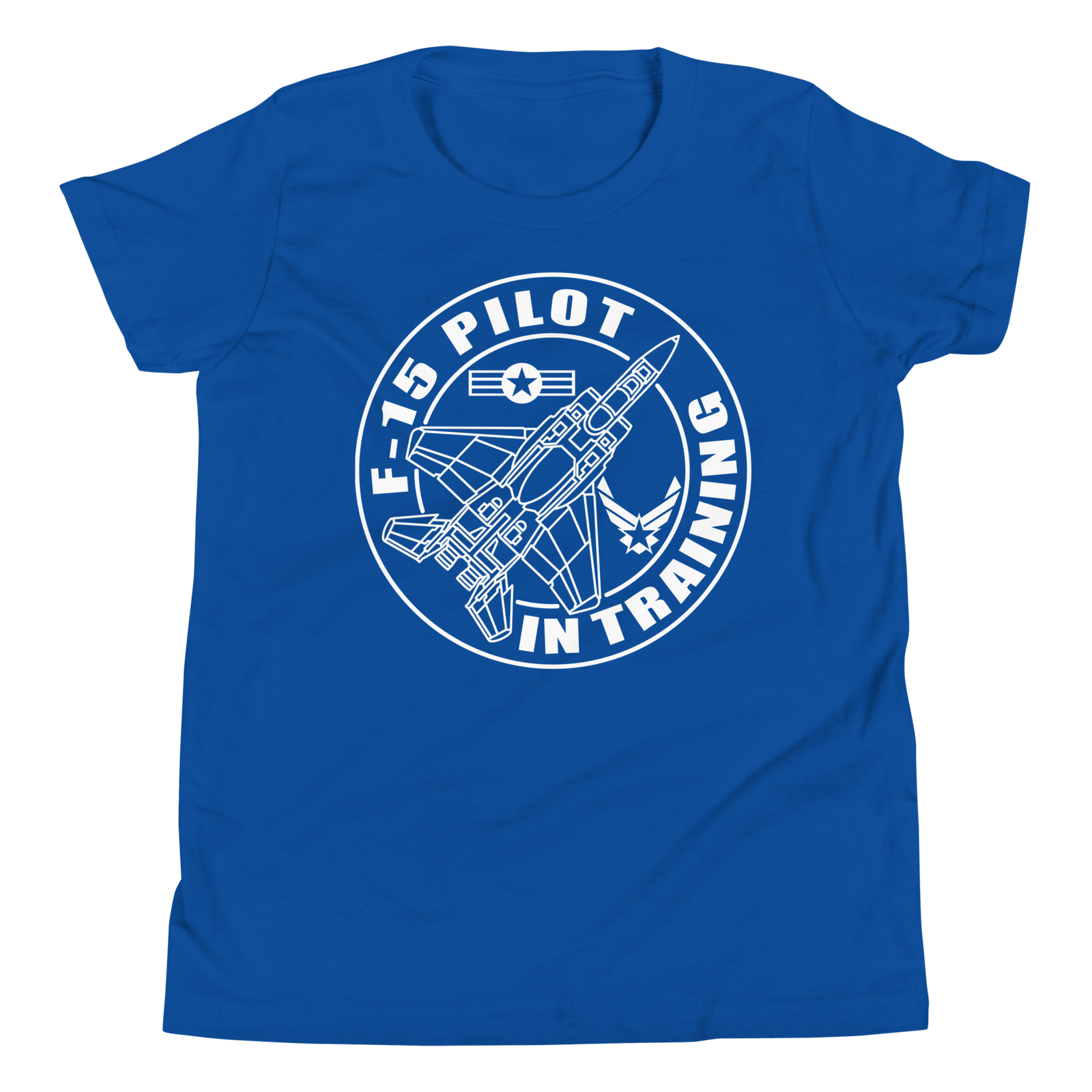 F-15 fighter aircraft. Pilot Training.