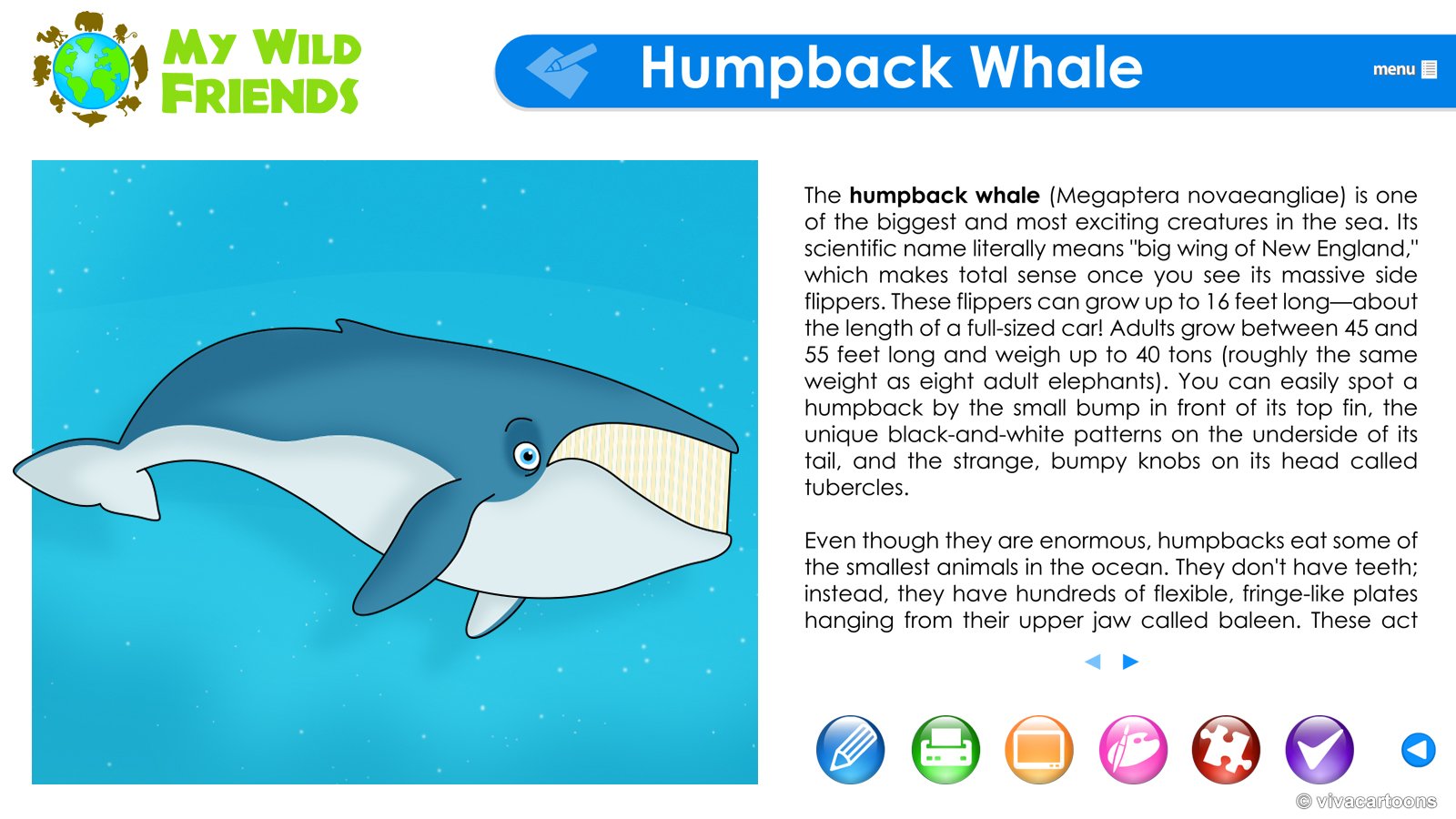education_animals_04